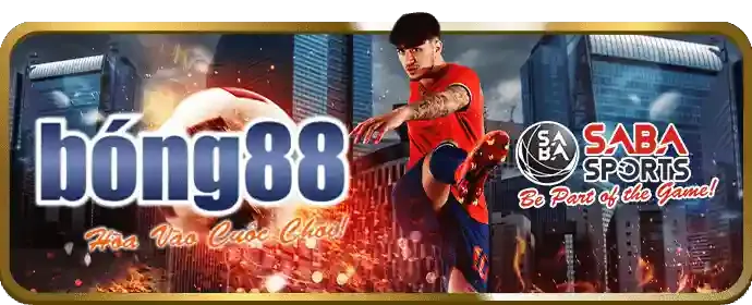 Chất lượng đường truyền đá gà cao