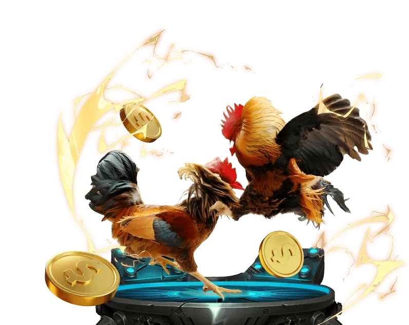 Đội ngũ hỗ trợ chuyên nghiệp của Win2026VN